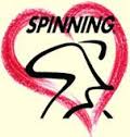 spinheart